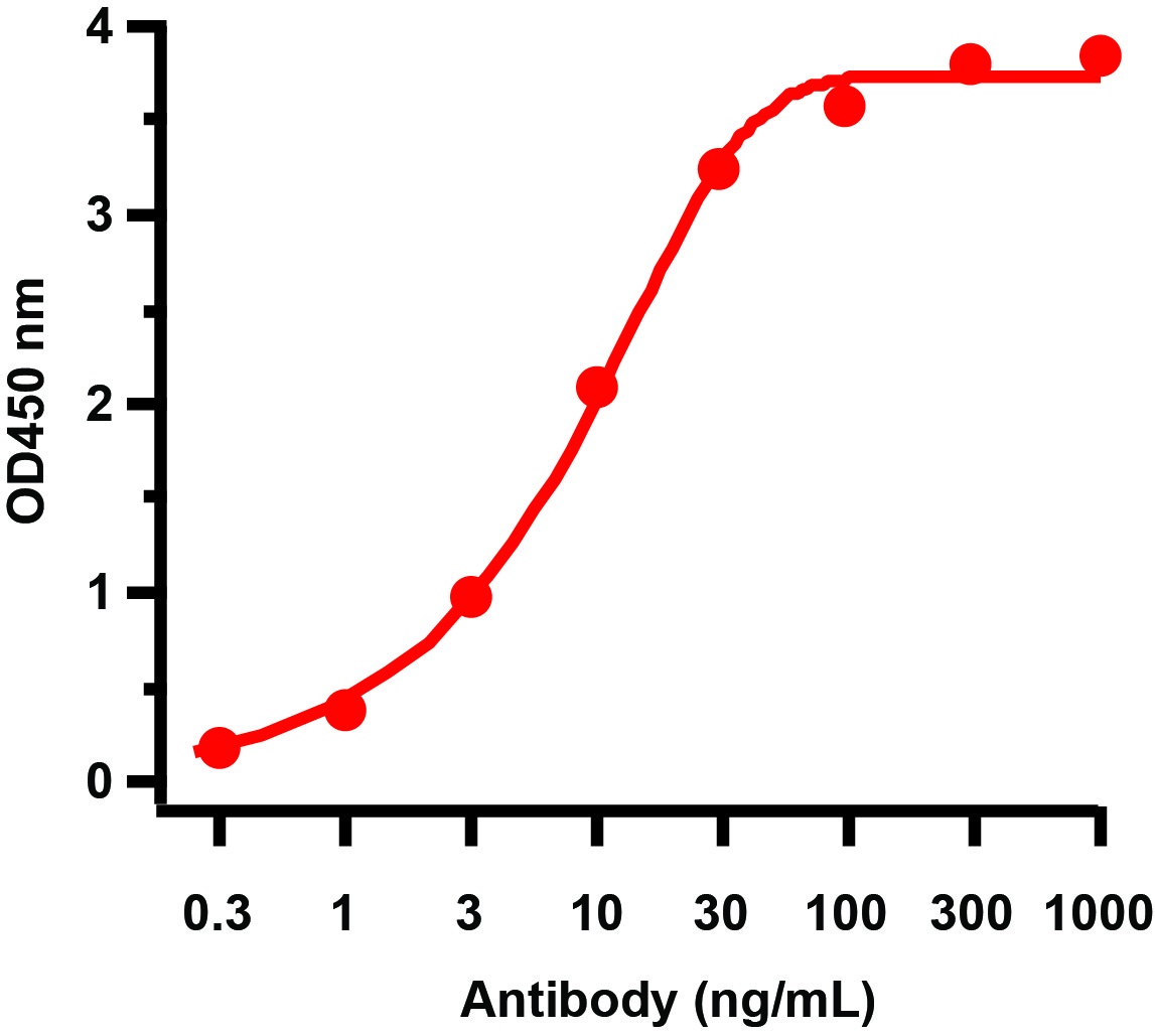 HIV-1 p24 Antibody [9D2F6]