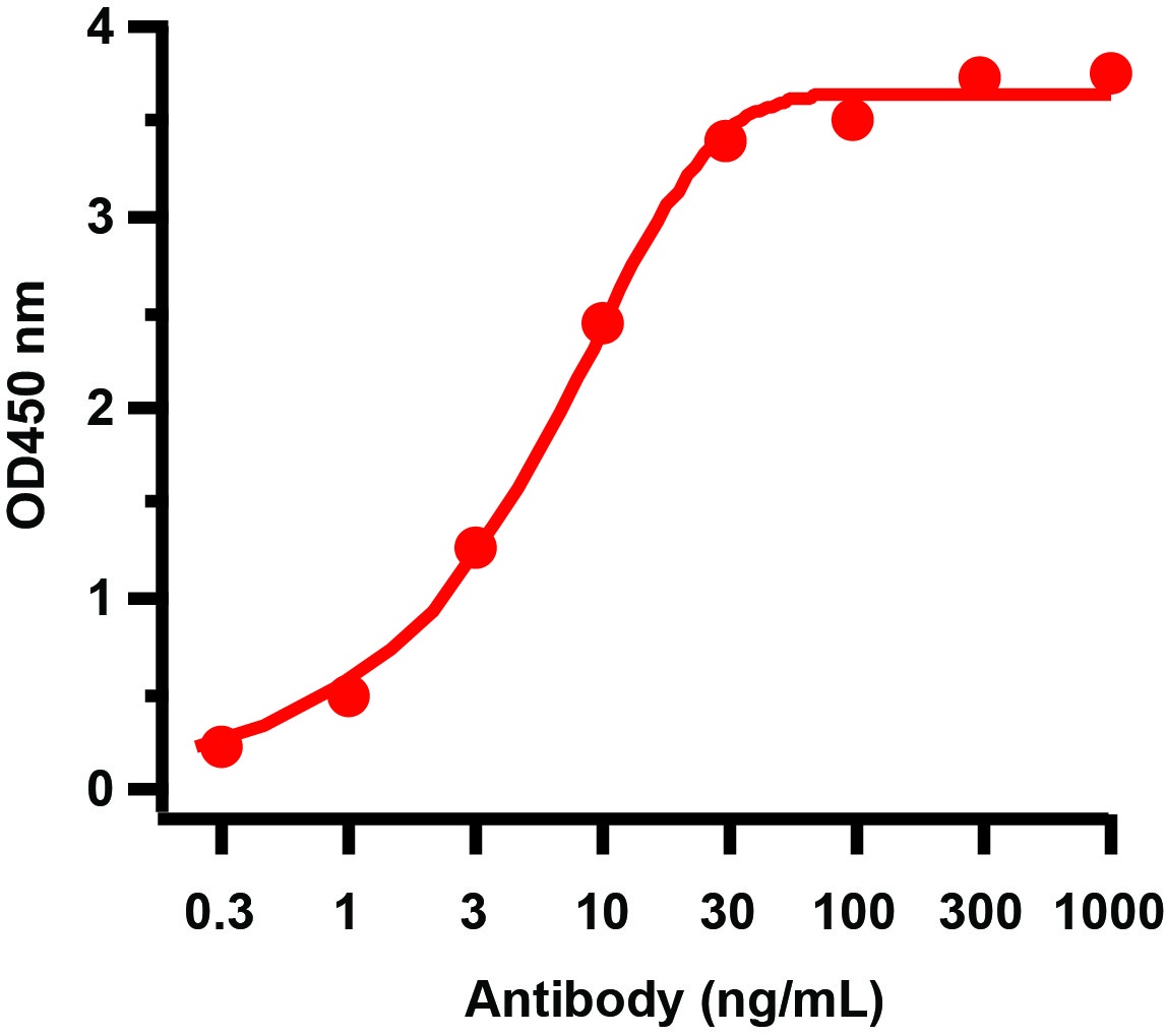 HIV-1 p24 Antibody [8D7E11] (HRP)