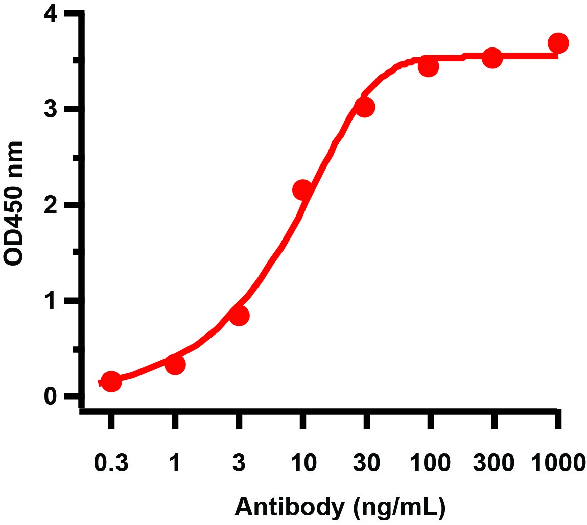 HIV-1 p24 Antibody [2C2C12]
