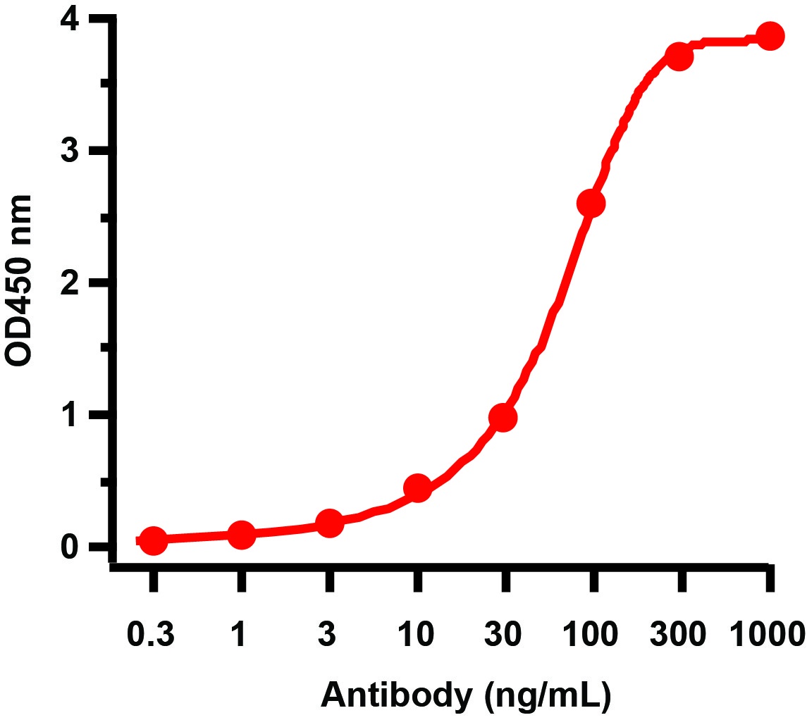 HIV-1 p24 Antibody [8A1A6] (HRP)