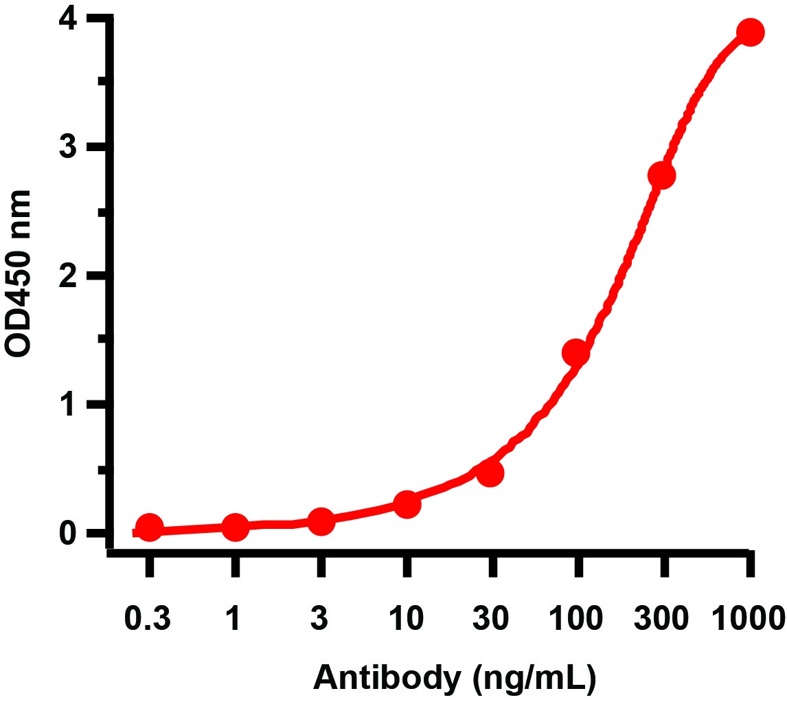 HIV-1 p24 Antibody [2F1A8] (HRP)