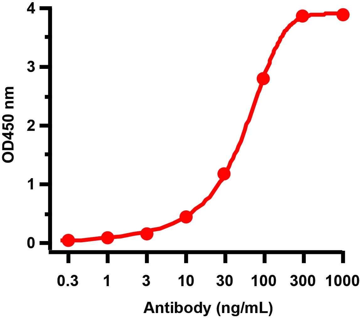 HIV-1 p24 Antibody [2F11G1] (biotin)