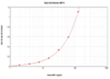 MIP-5 (CCL15) Antibody (biotin)