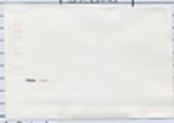 IL-12 Antibody