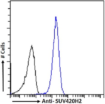 SUV420H2 Antibody [RAB-C409], Rabbit IgG