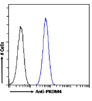 PRDM9 Antibody [RAB-C370], Rabbit IgG