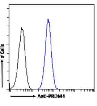 PRDM9 Antibody