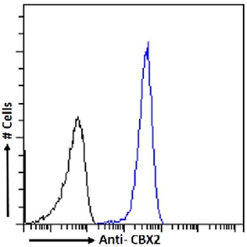 CBX2 Antibody [RAB-C238], Rabbit IgG