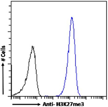 H3K27me3 Antibody [BT164], Rabbit IgG