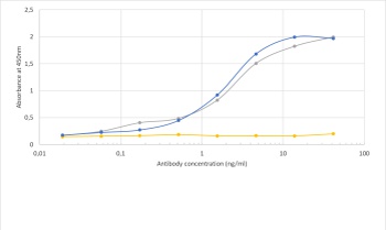 COVID-19 & SARS-CoV S glycoprotein Antibody [CR3022], Human IgG1