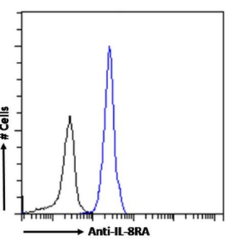 CXCR1 Antibody