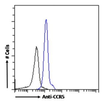 CCR5 (PKC site) Antibody [RC-10], Rabbit IgG