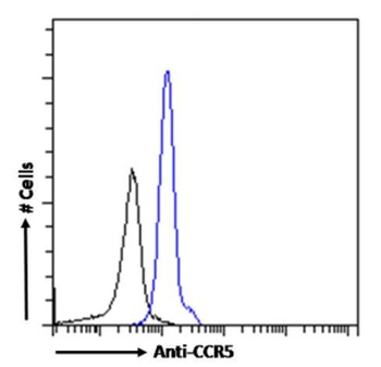 CCR5 Antibody