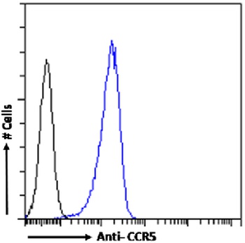 CCR5 (phosphoserine 349) Antibody [E11/19], Rabbit IgG