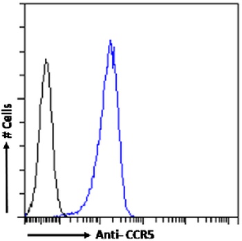 CCR5 Antibody