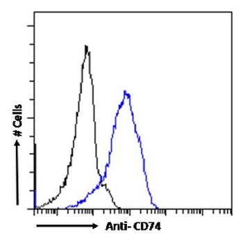 CD74 Antibody [LN-2], Rabbit IgG