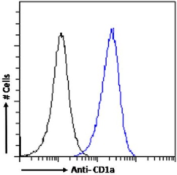 CD1a Antibody [CBT6], Rabbit IgG