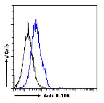 IL-10R Antibody [1B1.3a], Rabbit IgG