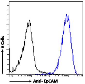 EpCAM Antibody [HEA125], Mouse IgG1