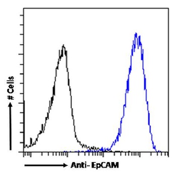 EPCAM Antibody