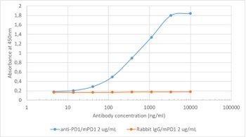 PD-1 Antibody [J43], Rabbit IgG