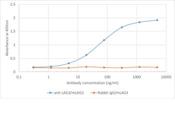 Lag3 Antibody