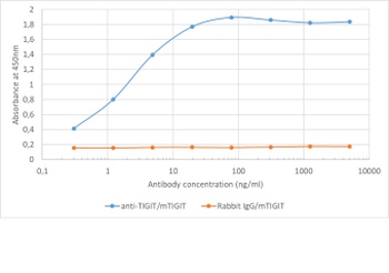 TIGIT Antibody [1B4], Rabbit IgG