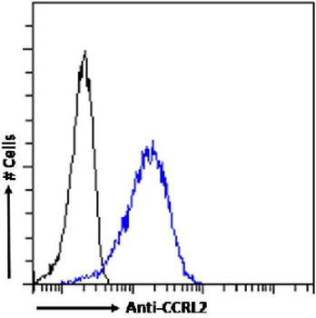 Ccrl2 Antibody