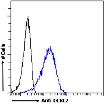 CCRL2 Antibody [BZ5B8], Rabbit IgG
