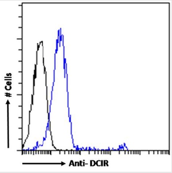 DCIR Antibody [9E8], Rabbit IgG
