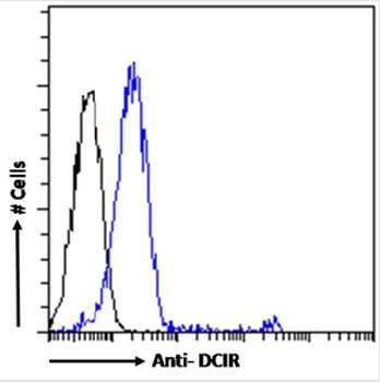 CLEC4A Antibody