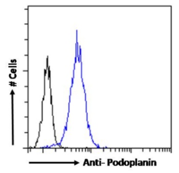 Pdpn Biosimilar Antibody