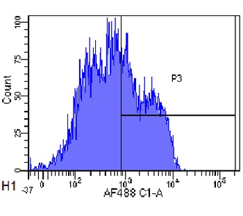 CD22 Antibody [hL22 (Epratuzumab)], Rabbit IgG - Research Grade Biosimilar