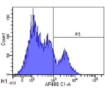 CD22 Biosimilar Antibody