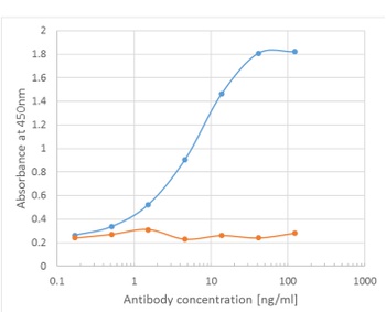 C3 Biosimilar Antibody