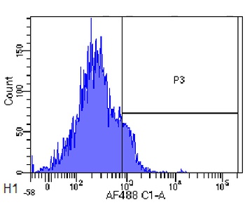 FAS Biosimilar Antibody