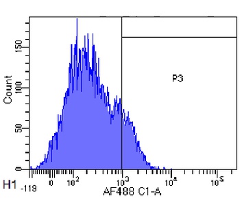 FAS Biosimilar Antibody