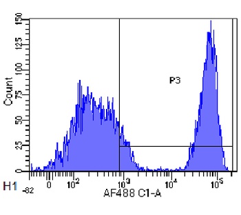 CD20 Antibody [10F381 (rituximab)], Rabbit IgG - Research Grade Biosimilar