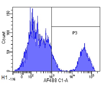 CD20 Antibody [10F381 (rituximab)], Rabbit IgG - Research Grade Biosimilar