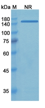 Tadocizumab (ITGA2B_ITGB3) - Research Grade Biosimilar