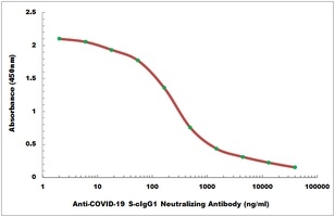 Anti-COVID-19 S-cIgG1 Neutralizing Antibody