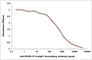 Anti-COVID-19 S-mIgG1 Neutralizing Antibody