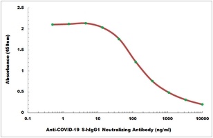 COVID-19 S-hIgG1 Neutralizing antibody