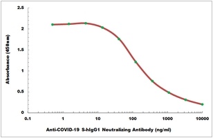 Anti-COVID-19 S-hIgG1 Neutralizing Antibody