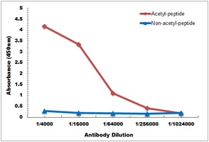 RAB21 (AcK109) antibody