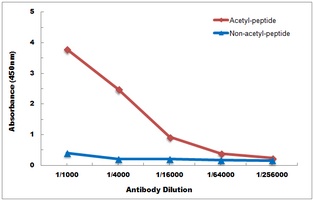 Histone H3 (AcK36) antibody