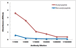 Histone H3 (AcK4) antibody