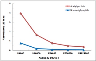 Histone H2A (AcK9) antibody