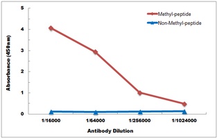 Anti-Histone H3 (TriMethyl-K4) Antibody