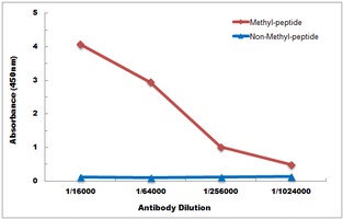 Histone H3 (TriMethyl-K4) antibody